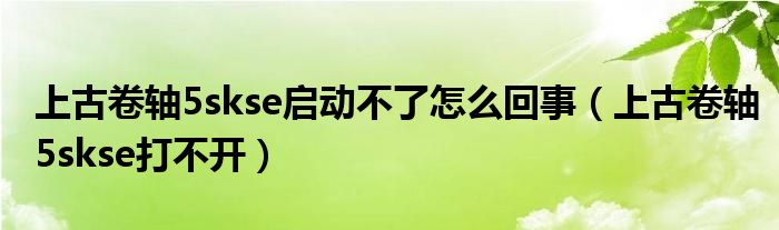 上古卷轴5skse启动不了怎么回事(上古卷轴5skse打不开)