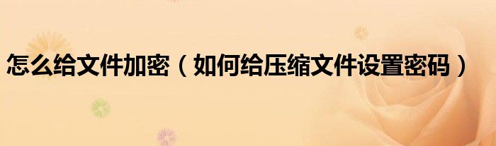 怎么给文件加密(如何给压缩文件设置密码)