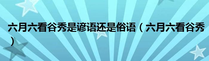 六月六看谷秀是谚语还是俗语(六月六看谷秀)