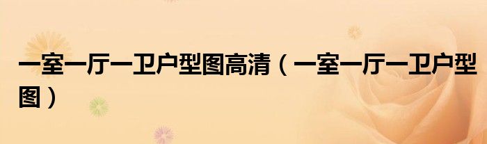 一室一厅一卫户型图高清(一室一厅一卫户型图)