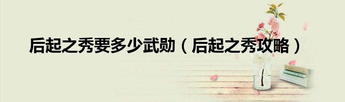 后起之秀要多少武勋(后起之秀攻略)