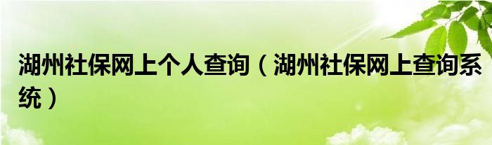 湖州社保网上个人查询(湖州社保网上查询系统)