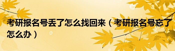 考研报名号丢了怎么找回来(考研报名号忘了怎么办)