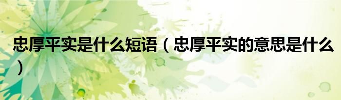 忠厚平实是什么短语(忠厚平实的意思是什么)