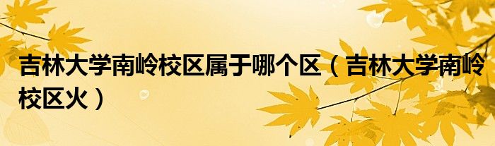 吉林大学南岭校区属于哪个区(吉林大学南岭校区火)
