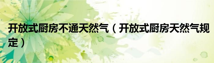 开放式厨房不通天然气(开放式厨房天然气规定)