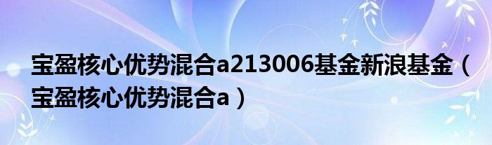 宝盈核心优势混合a213006基金新浪基金(宝盈核心优势混合a)