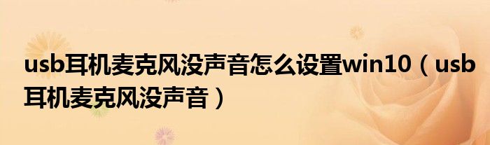 usb耳机麦克风没声音怎么设置win10(usb耳机麦克风没声音)