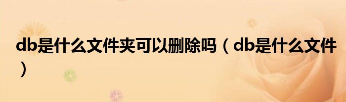 db是什么文件夹可以删除吗(db是什么文件)