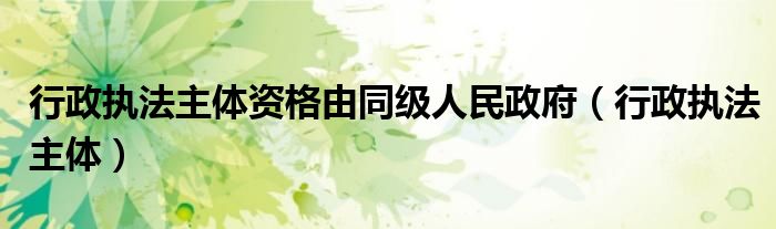 行政执法主体资格由同级人民政府(行政执法主体)