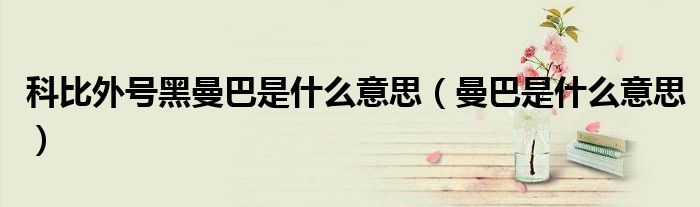 科比外号黑曼巴是什么意思(曼巴是什么意思)