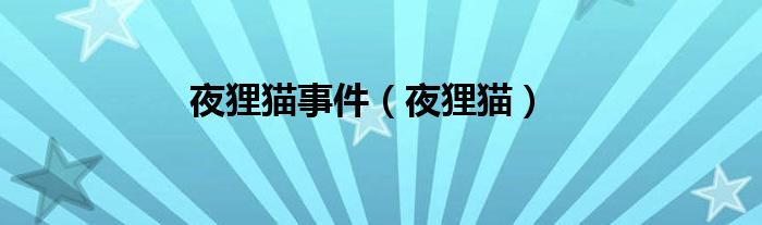 夜狸猫事件(夜狸猫)