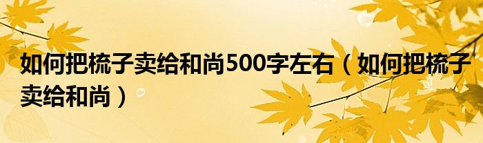 如何把梳子卖给和尚500字左右(如何把梳子卖给和尚)