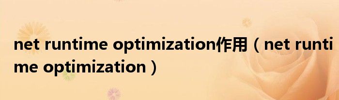 net runtime optimization作用(net runtime optimization)