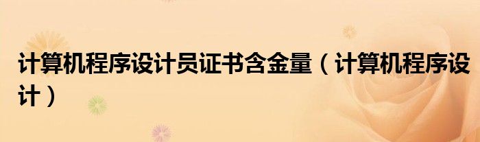 计算机程序设计员证书含金量(计算机程序设计)