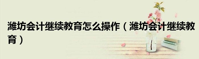 潍坊会计继续教育怎么操作(潍坊会计继续教育)