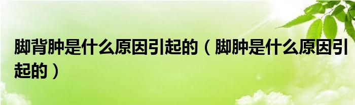 脚背肿是什么原因引起的(脚肿是什么原因引起的)