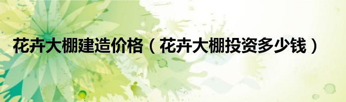 花卉大棚建造价格(花卉大棚投资多少钱)