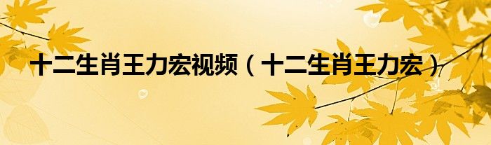 十二生肖王力宏视频(十二生肖王力宏)