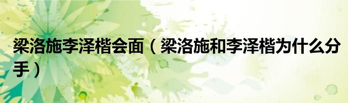 梁洛施李泽楷会面(梁洛施和李泽楷为什么分手)