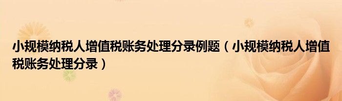 小规模纳税人增值税账务处理分录例题(小规模纳税人增值税账务处理分录)