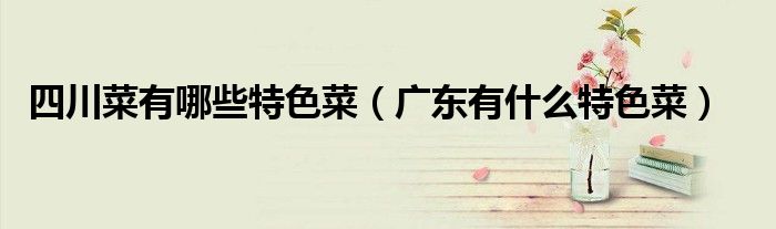 四川菜有哪些特色菜(广东有什么特色菜)