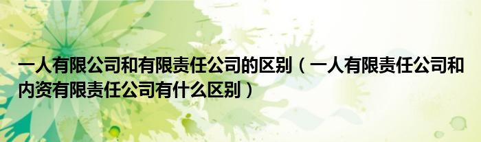 一人有限公司和有限责任公司的区别(一人有限责任公司和内资有限责任公司有什么区别)