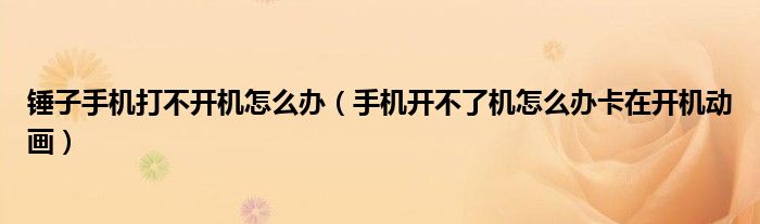 锤子手机打不开机怎么办(手机开不了机怎么办卡在开机动画)