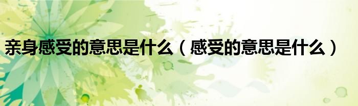 亲身感受的意思是什么(感受的意思是什么)