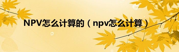 NPV怎么计算的(npv怎么计算)