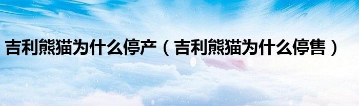吉利熊猫为什么停产(吉利熊猫为什么停售)