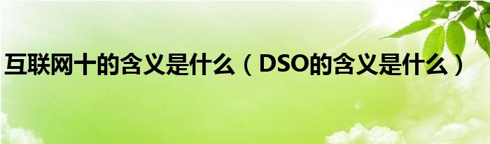 互联网十的含义是什么(DSO的含义是什么)