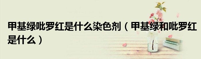 甲基绿吡罗红是什么染色剂(甲基绿和吡罗红是什么)