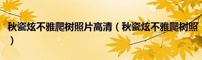 秋瓷炫不雅爬树照片高清(秋瓷炫不雅爬树照)