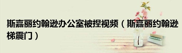 斯嘉丽约翰逊办公室被捏视频(斯嘉丽约翰逊梯震门)