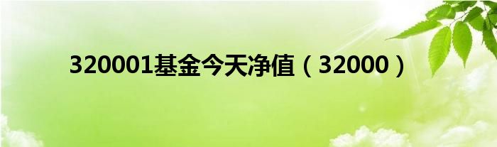 320001基金今天净值(32000)