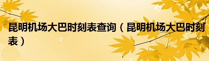 昆明机场大巴时刻表查询(昆明机场大巴时刻表)
