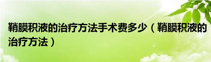 鞘膜积液的治疗方法手术费多少(鞘膜积液的治疗方法)