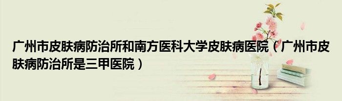 广州市皮肤病防治所和南方医科大学皮肤病医院(广州市皮肤病防治所是三甲医院)
