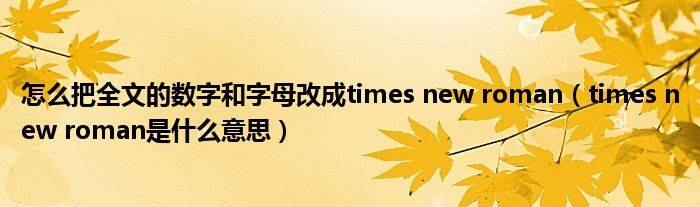 怎么把全文的数字和字母改成times new roman(times new roman是什么意思)
