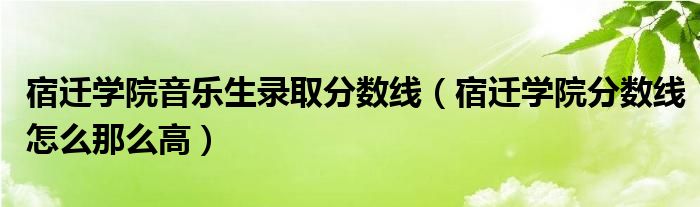 宿迁学院音乐生录取分数线（宿迁学院分数线怎么那么高）