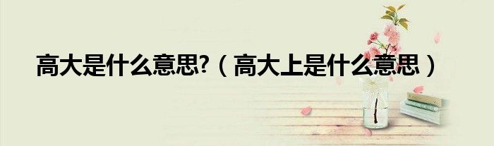 高大是什么意思?(高大上是什么意思)