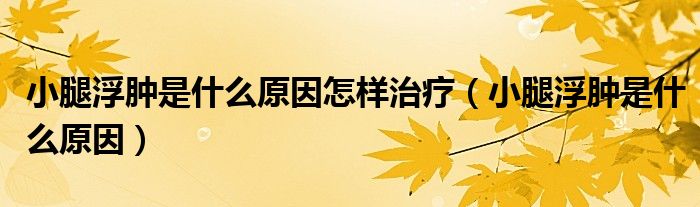 小腿浮肿是什么原因怎样治疗（小腿浮肿是什么原因）