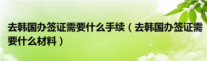 去韩国办签证需要什么手续（去韩国办签证需要什么材料）