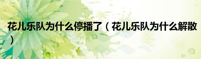 花儿乐队为什么停播了(花儿乐队为什么解散)