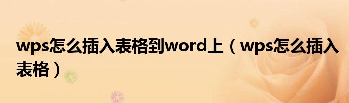 wps怎么插入表格到word上(wps怎么插入表格)