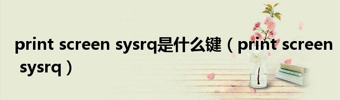 print screen sysrq是什么键（print screen sysrq）