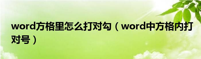 word方格里怎么打对勾(word中方格内打对号)
