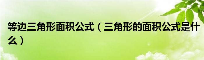 等边三角形面积公式（三角形的面积公式是什么）