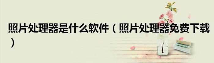 照片处理器是什么软件（照片处理器免费下载）